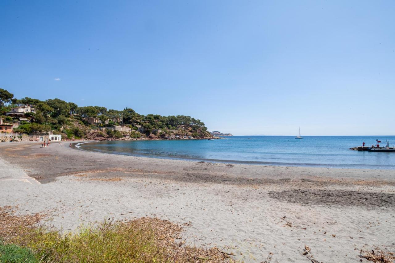 T2 - La Seyne Sur Mer - Fabregas Esterno foto