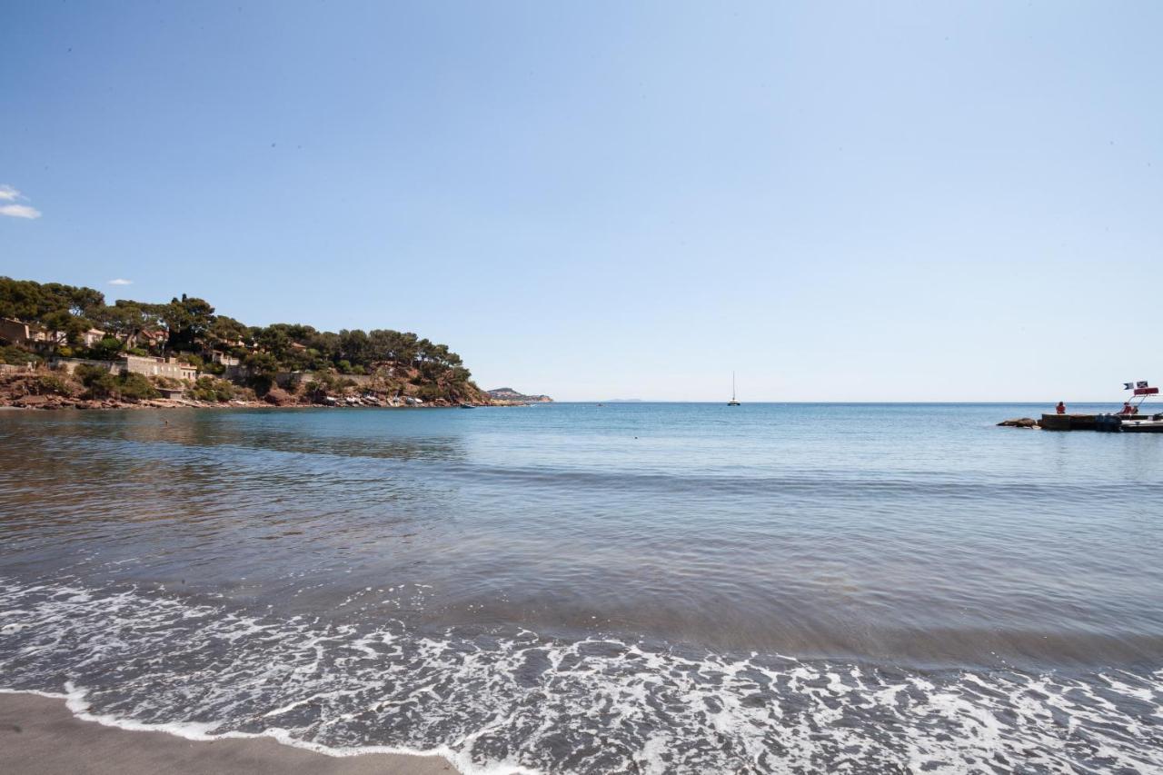 T2 - La Seyne Sur Mer - Fabregas Esterno foto