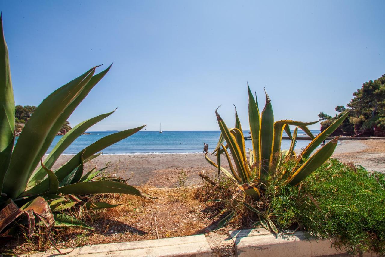 T2 - La Seyne Sur Mer - Fabregas Esterno foto